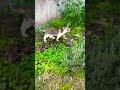 遠慮しないで来ればいいのに🤣公開日:2026/5/16