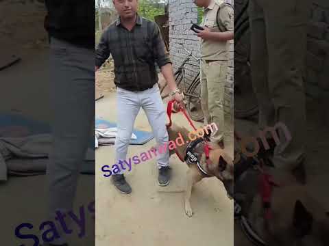 "बाघा" को देख थर-थर कांपने लगा "हत्यारा", खुद कबूला अपराध