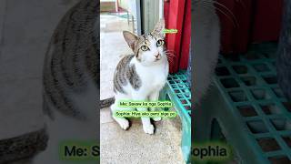 Nahihiya Daw Sumayaw Si Sophia