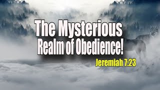 The Mysterious Realm of Obedience! |Magnificent Life Daily Devotion