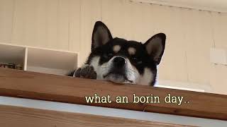 no plans today frens, what do?