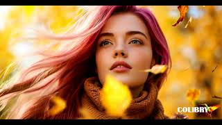 Download Lagu COLIBRY  -   Maria Luisa MP3