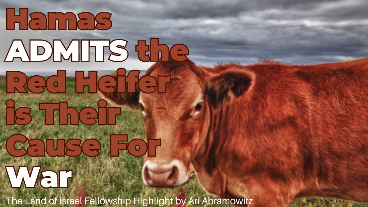 Hamas ADMITS the Red Heifer is Their Cause of War - Ari Abramowitz: The Land of Israel Fellowship