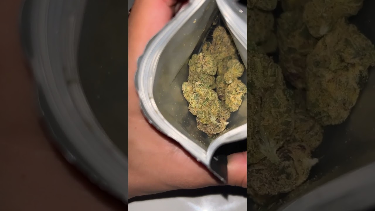 Stiiizy Black Bag - BubbleGum Runtz Review