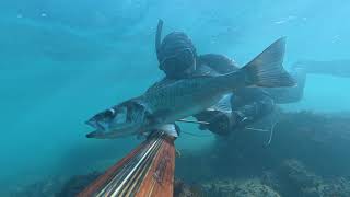 Spearfishing 2024