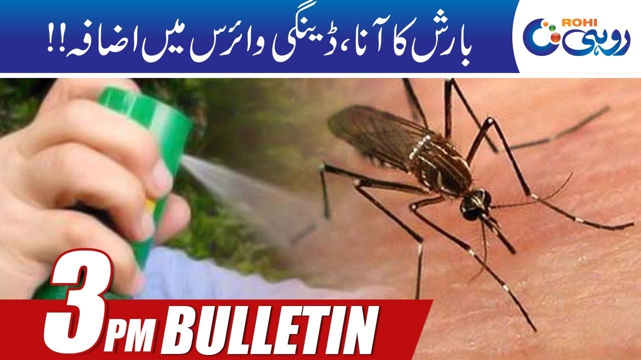 citycell News Bulletin | 3:00pm | 2 Oct 2019 | Rohi