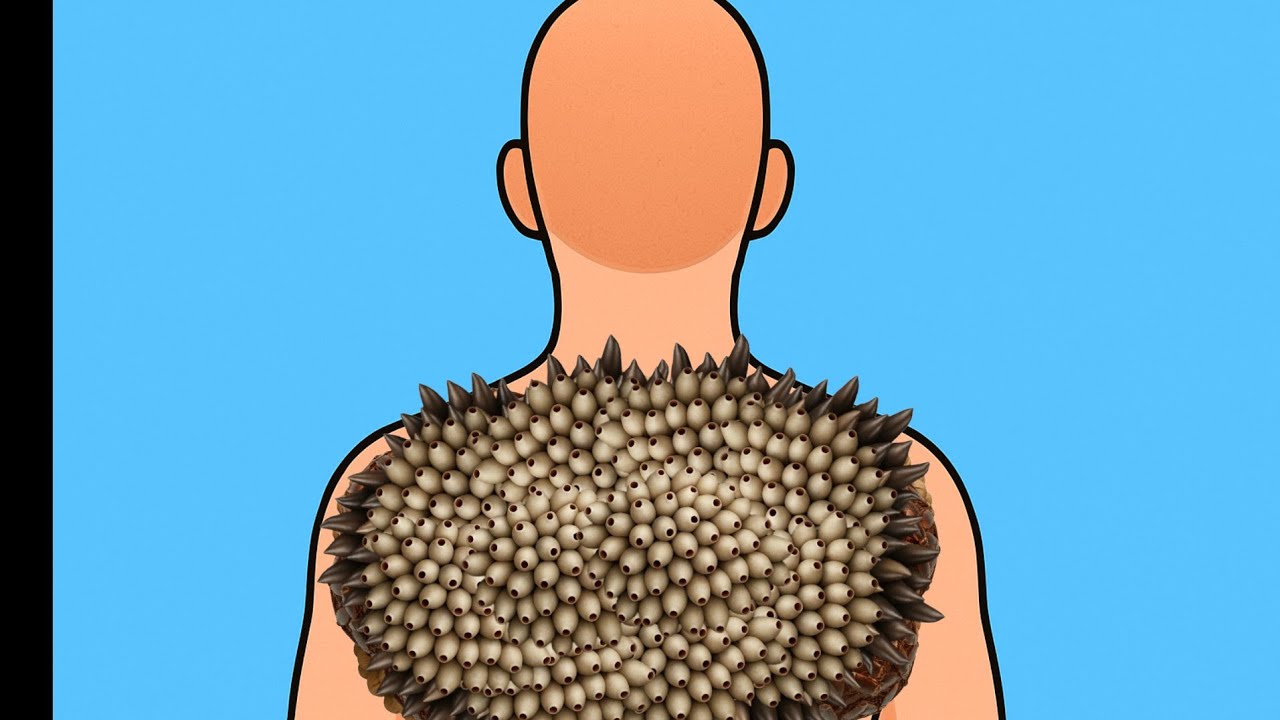 Limpeza Autêntica ASMR | Texturas Reais & Sons Calmantes 🌿✨