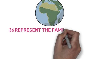 What is a Synod? The basics