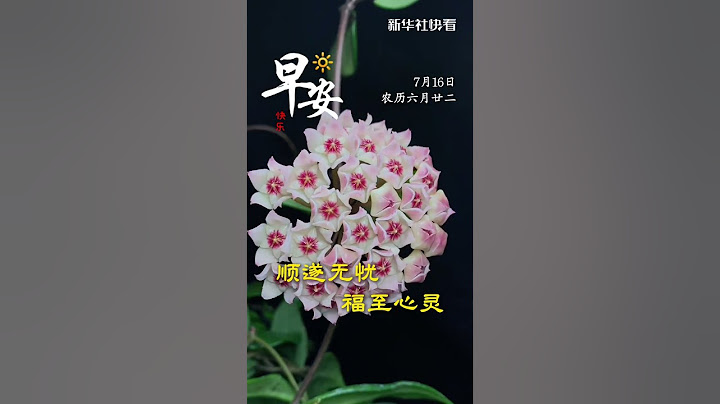球蘭攜好運，花簇裹吉光！7月16日，農歷六月廿二，祝您順遂無憂，福至心靈！