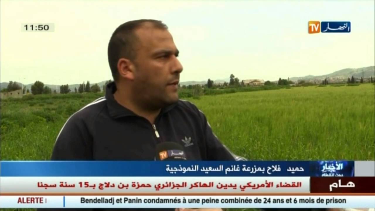 فلاحة : أراضي فلاحية ملك الدولة للبيع.. وجه آخر للتحايل