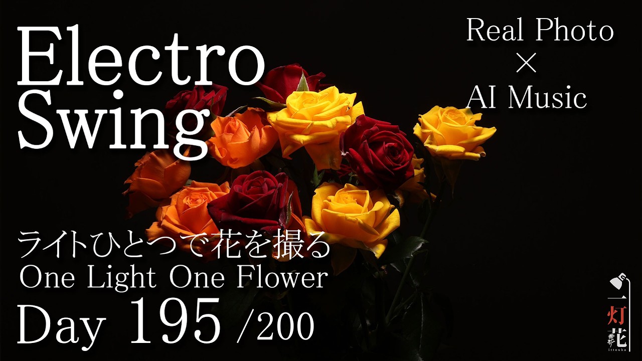 Electro Swing》Rose! Rose! Rose!| Flower Music ｜ 一灯花 -195.バラ