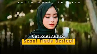 Cut Rani - Sesal Tiada Bertepi|Lagu Terbaru 2024|Lagu Cut Rani Auliza