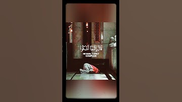 قرآن كريم بصوت جميل جدا طارق محمد 💙 حالات واتس اب دينيه || 💔تلاوة تبكي القلب❤️🌙 Quran status