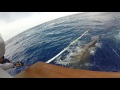 2017 Bermuda Billfish Blast | Team Que Mas | Blue Marlin