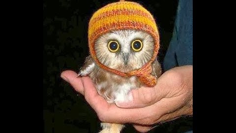 Video Tutorial Excel Chapter 9 In Practice Independent Project 9-4