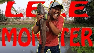 MANCING PAKAI UMPAN INI DAPAT IKAN LELE MONSTER