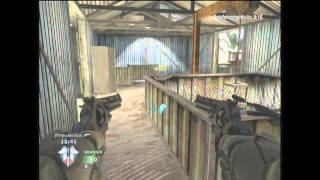 Black Ops Python montage(hades back)