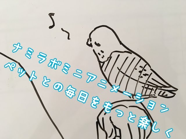 オカメインコ オウムなど鳥の描き方 イラストレーター南姫 なみ のブログ