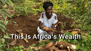 This Is Africa’s Wealth.. Not money — the land.