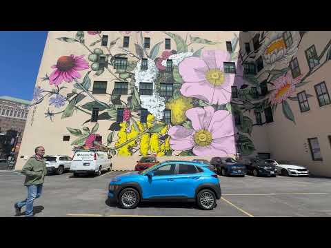 في شوارع بوفالو نيويورك