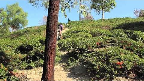 COD: Capture the Flag in Real Life