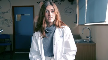 Investigating Science