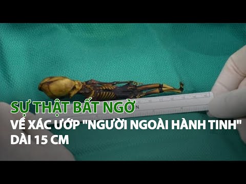 Sự thật bất