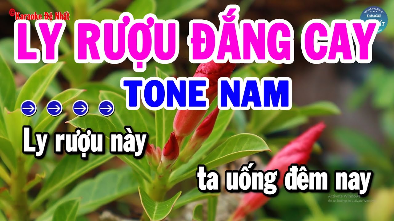 Karaoke Ly Rượu Đắng Cay Tone Nam Nhạc Sống Mới Dễ Hát Nhất | Karaoke Đệ Nhất