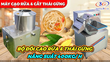 Bộ Đôi: Máy Cạo Rửa và Máy Thái Gừng, Nghệ Tươi Tốt Nhất| Điện Máy 3G