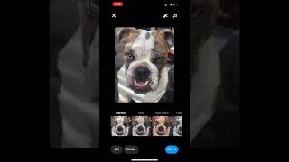 How To Preview Your Instagram Posts In Your Feed Before Posting