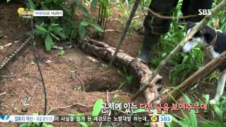 정글의법칙(김병만,김성수,조여정) 130920 #27(5)