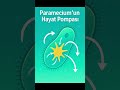 Paramecium’un Hayat Pompası #Paramecium #Osmoregülasyon #KontraktilKoful #Hipotonik #HücreZarı