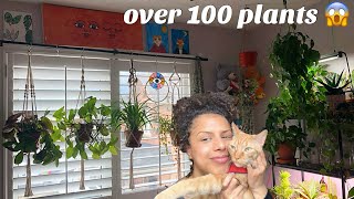 Jungle room tour
