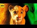 Can The Lion King Be Replicated?