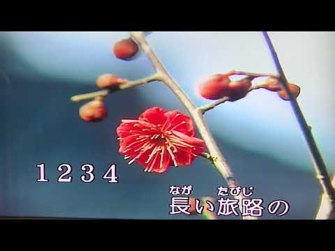 2021 06 23 港町十三番地  張採吟