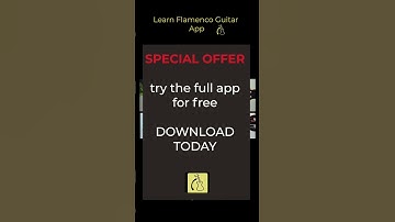 Fandangos Lesson- Learn Flamenco Guitar App