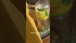 “Isih Kelingan Sliramu” (Masih Terbayang Dirimu) #SUNO #AI #Lagujawa #ambyar 