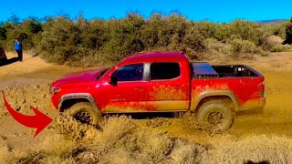 Off-Road Challenge | TRD Vs. SR5 Tacoma