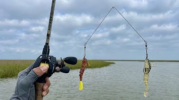 2 Shrimp BETTER than 1 (S6 E62)
