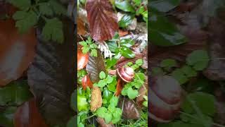 Eygidi Burdaki İnsanlar Onlarda Öldüler