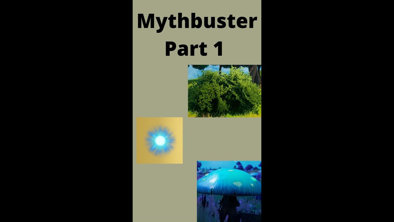 Mythbusters-Part 1