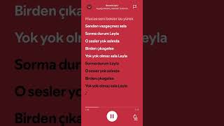 Ayşegül Aldinç & Gökhan Türkmen - Durum Leyla - (Speed Up)