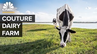 These Manolo Blahnik Execs Breed Prize Cattle