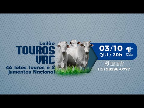 Lote 44   ENCERADO PONTAL VR   VRC 9218 zap