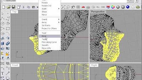 Learning Rhino---Mesh Point Editing