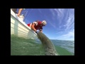 Tarpon fishing with rob gorta