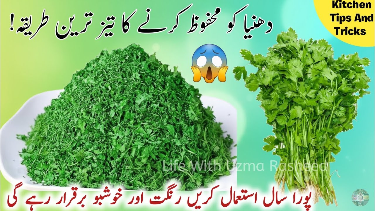 🔴The Ultimate Guide to Storing Coriander for Freshness! | kitchen Tips 