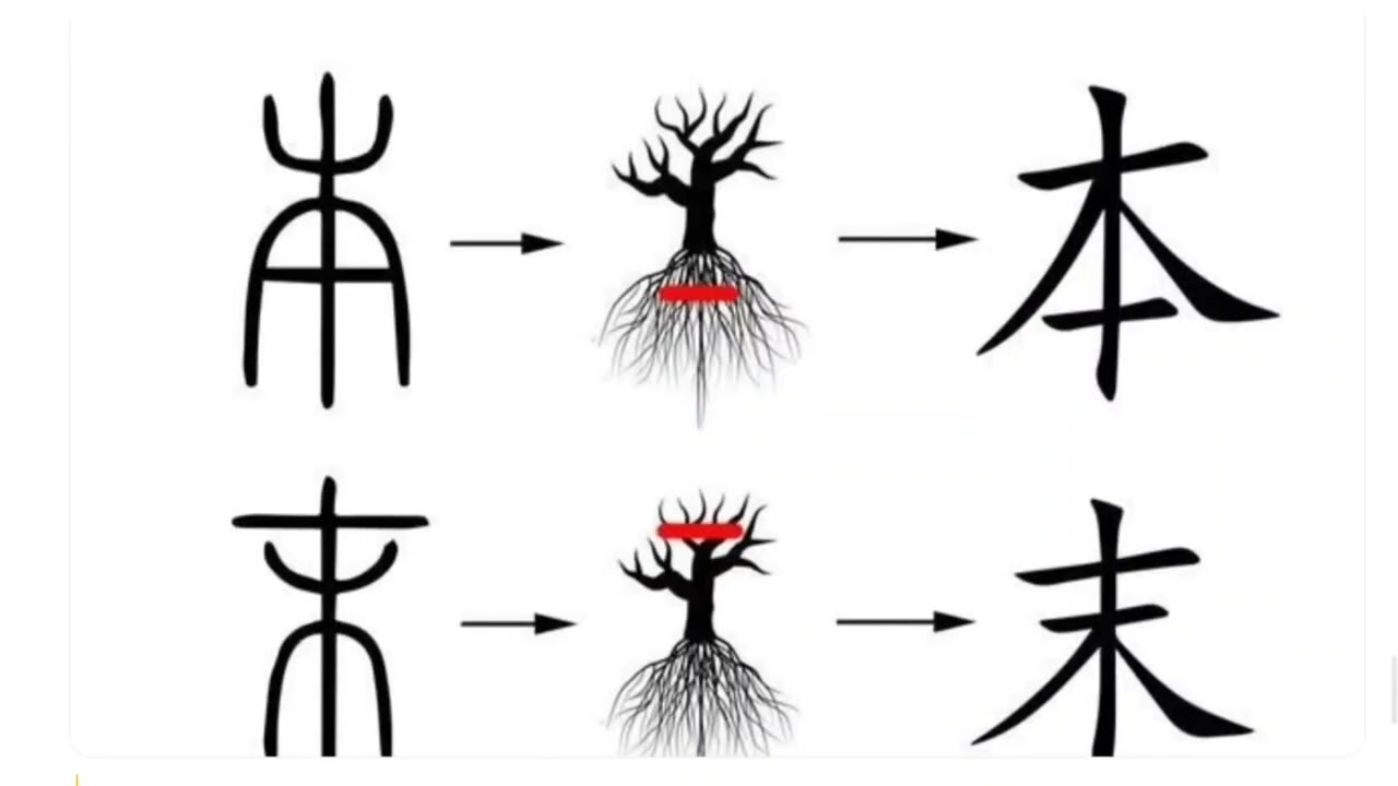 One video helps u master the key of memorizing chinese characters !#chinese learning#chineseculture 