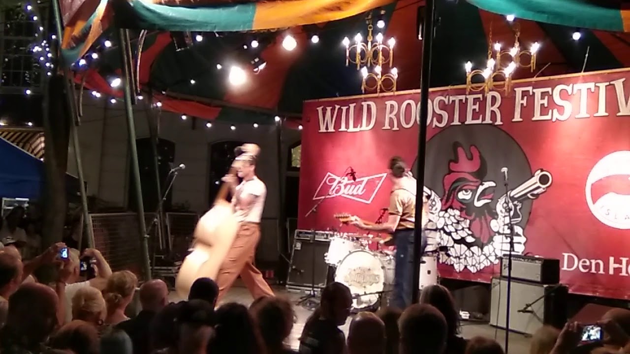 Wild Rooster Festival, The Spunyboys, Den Haag,