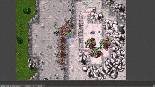 Tibia Unline.org: Orc Mountain comentado en vivo